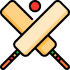 Cricket Fantasy Points